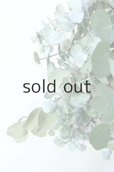 画像3: Dry plants for decor ユーカリ2種シンプルスワッグ (3)