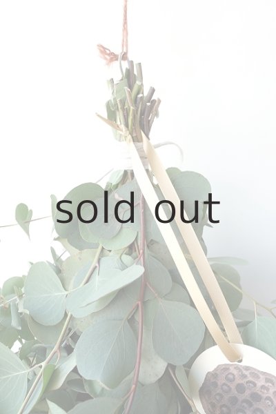 画像2: Dry plants for decor ユーカリ2種シンプルスワッグ (2)