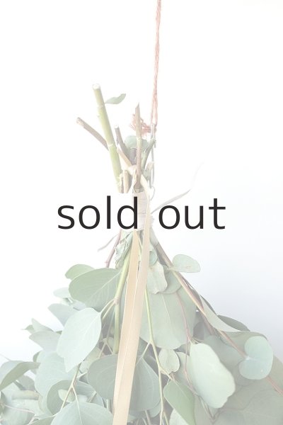 画像6: Dry plants for decor ユーカリ2種シンプルスワッグ (6)