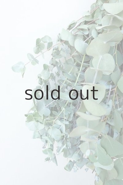 画像3: Dry plants for decor ユーカリ2種シンプルスワッグ (3)