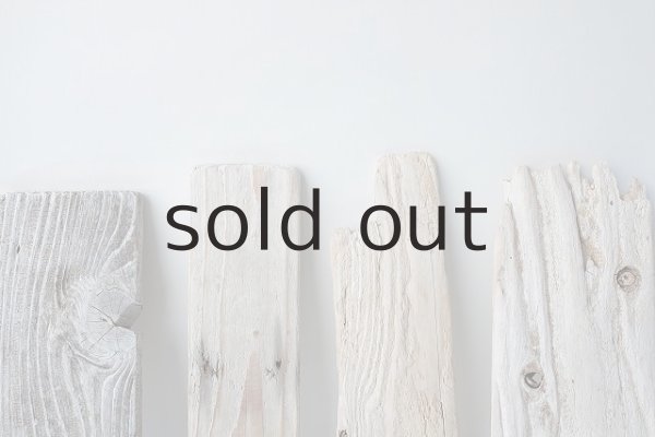 画像6: 板流木セット (6)