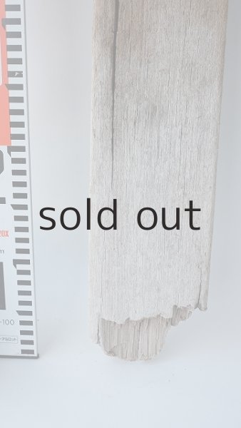 画像5: 板流木 (5)