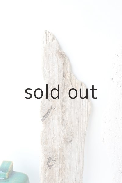 画像3: 板流木セット (3)