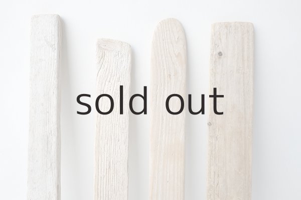 画像3: 板流木セット (3)