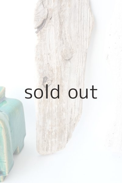 画像2: 板流木セット (2)