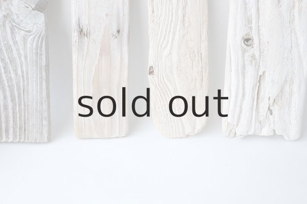 画像5: 板流木セット (5)