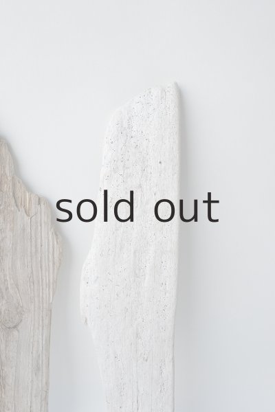 画像5: 板流木セット (5)