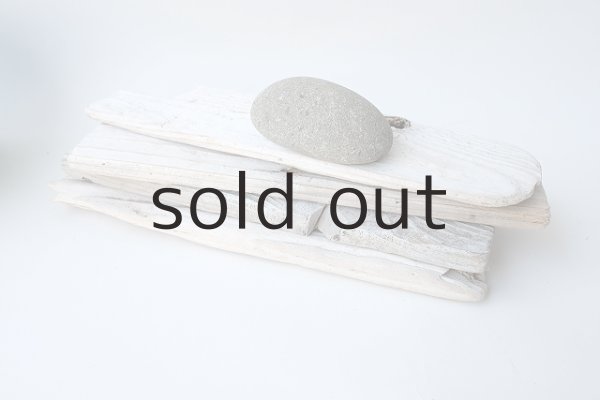 画像7: 板流木セット (7)