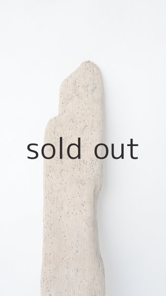 画像3: 板流木 (3)