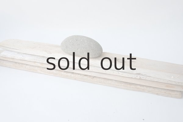 画像6: 板流木セット (6)