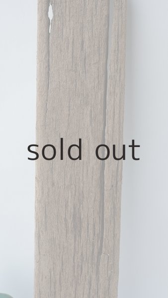 画像3: 板流木 (3)