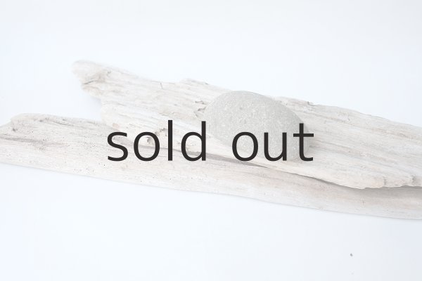 画像6: 板流木セット (6)