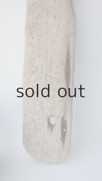 画像2: 板流木 (2)