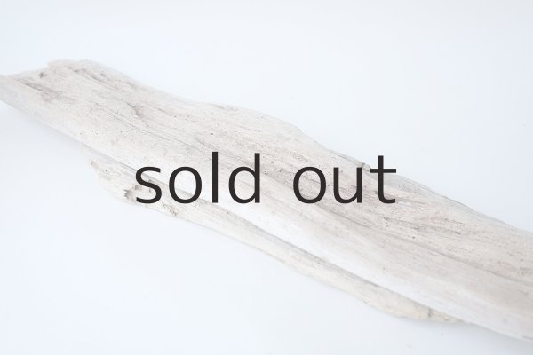 画像7: 板流木セット (7)