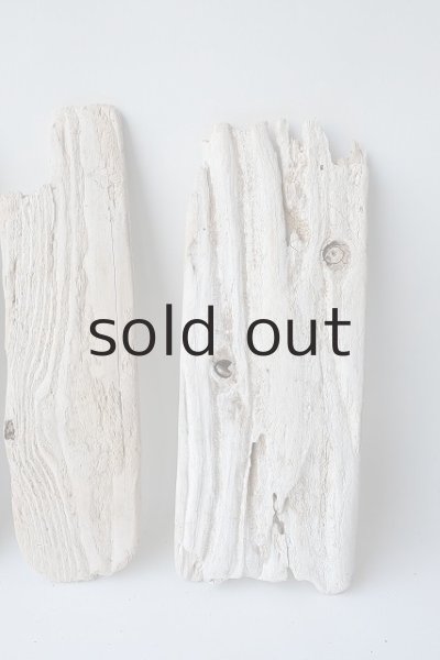 画像4: 板流木セット (4)