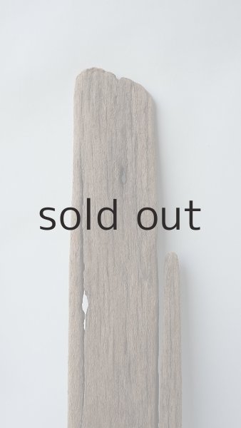 画像4: 板流木 (4)