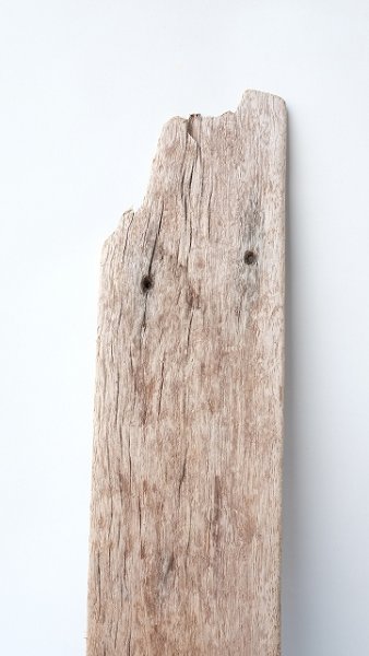 画像4: 板流木 (4)