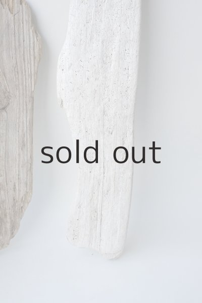 画像4: 板流木セット (4)