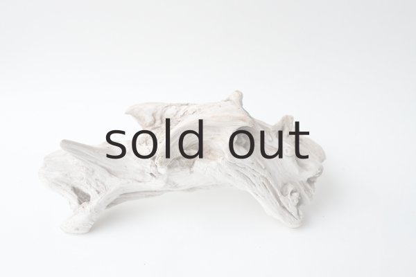 画像4: 変形流木 (4)