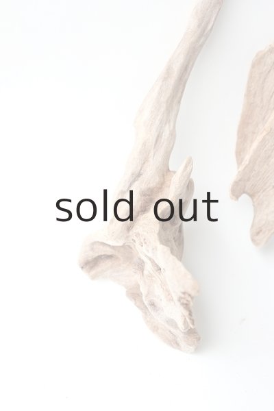 画像2: 変形流木セット (2)