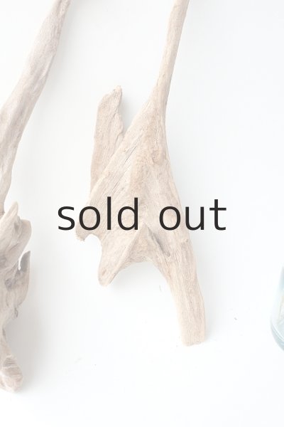 画像3: 変形流木セット (3)