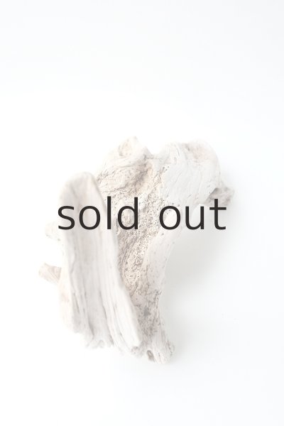 画像2: 変形流木 (2)