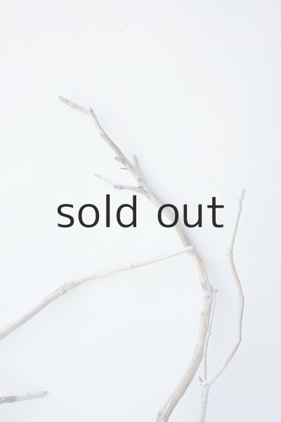 画像4: 流木根セット (4)