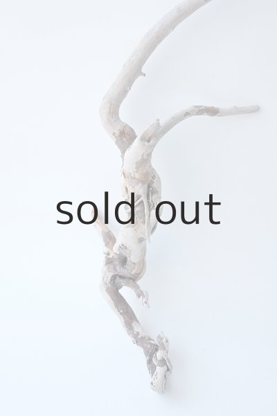 画像2: 流木根セット (2)