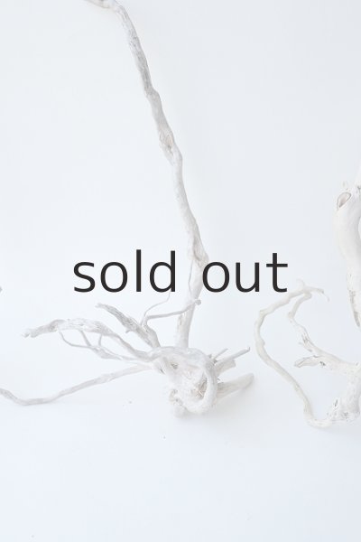 画像3: 流木根セット (3)