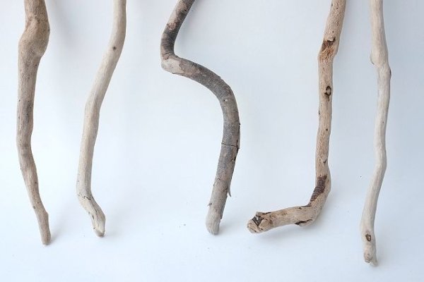 画像2: 流木根セット (2)