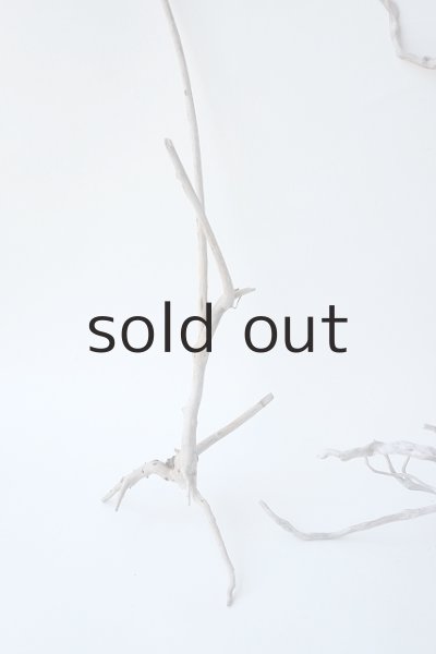 画像2: 流木根セット (2)