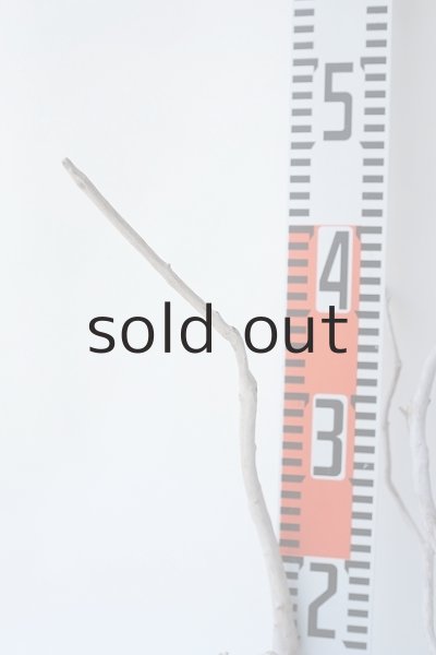 画像6: 流木根セット (6)