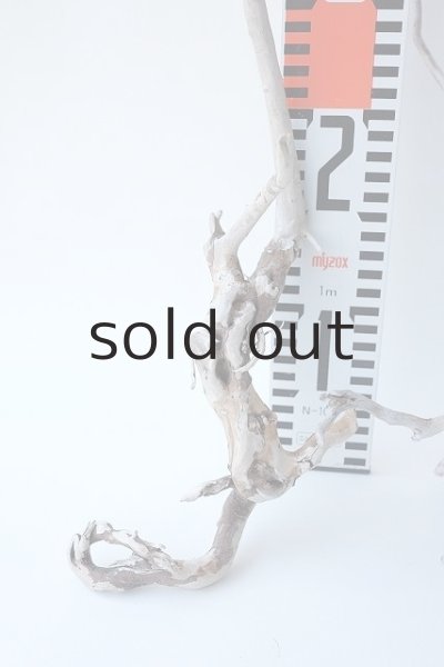 画像5: 流木根セット (5)