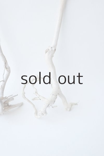 画像4: 流木根セット (4)