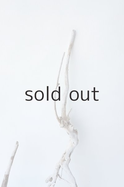 画像4: 流木根セット (4)