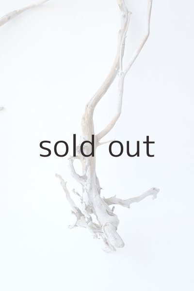 画像3: 流木根セット (3)