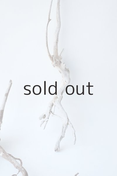 画像5: 流木根セット (5)