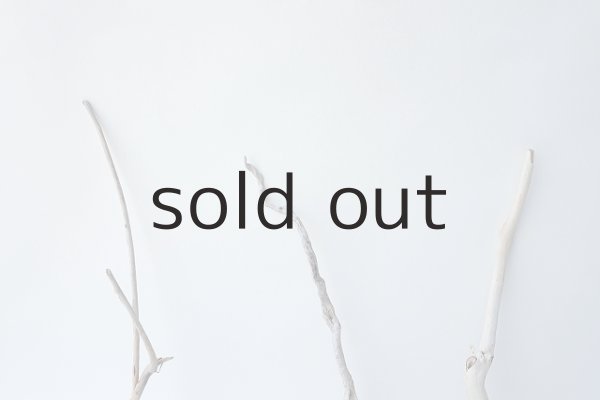 画像5: 流木根セット (5)