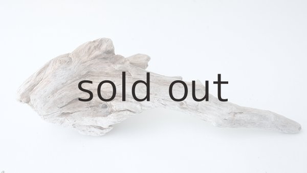 画像5: 変形流木 (5)