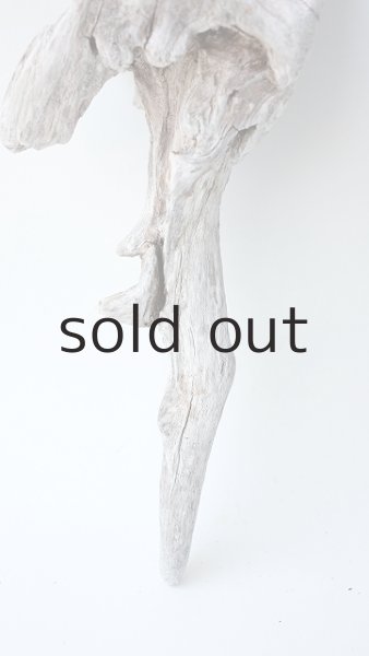 画像2: 変形流木 (2)