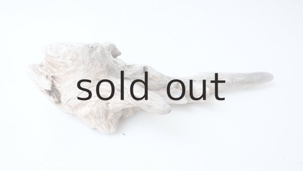 画像4: 変形流木 (4)