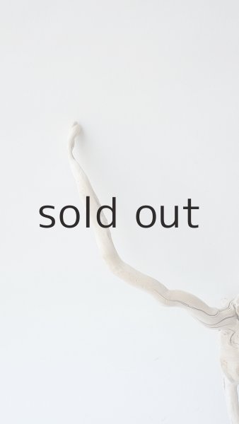 画像3: 流木根 (3)