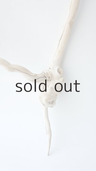 画像2: 流木根 (2)