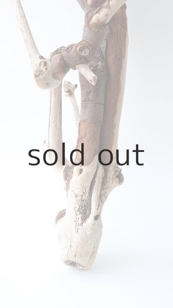 画像2: 枝流木 (2)