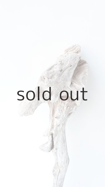 画像3: 変形流木 (3)