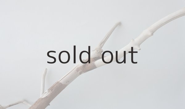 画像11: 枝流木 (11)