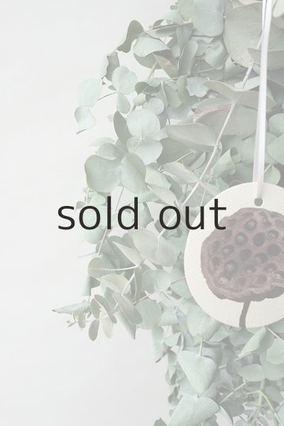 画像3: Dry plants for decor ユーカリ銀丸葉スワッグ (3)