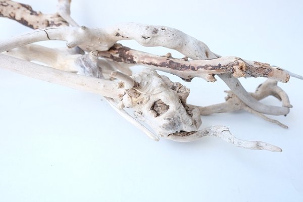 画像5: 流木根セット (5)