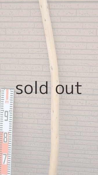 画像7: 棒流木・長尺 (7)