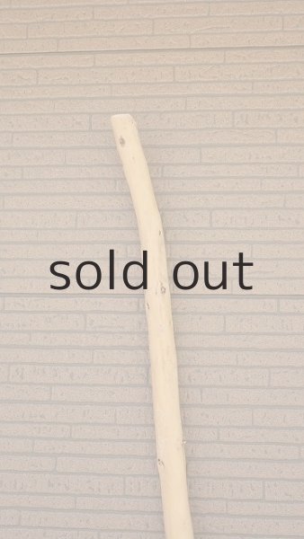 画像5: 棒流木・長尺 (5)